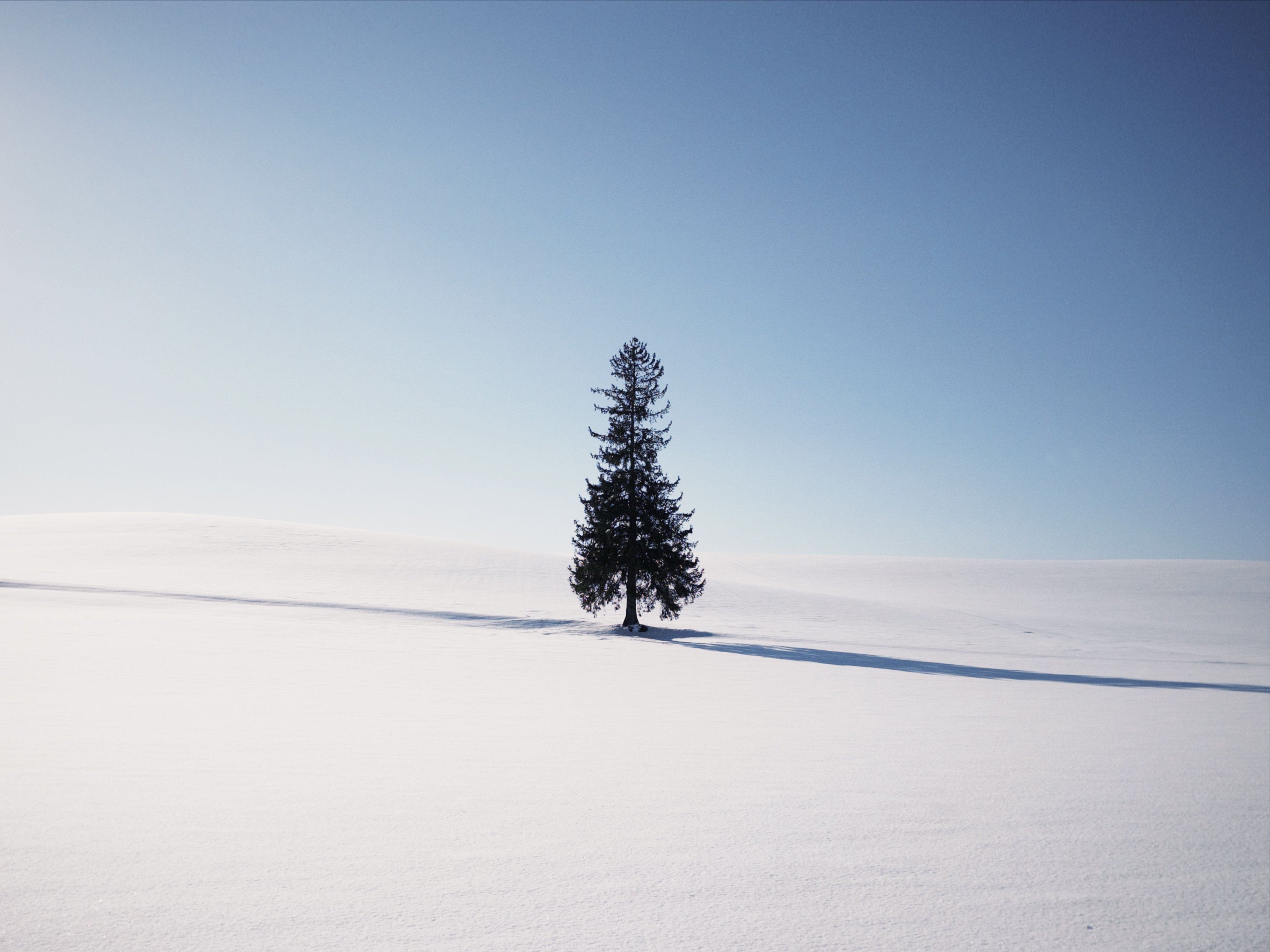 风景摄影 - 建筑与自然