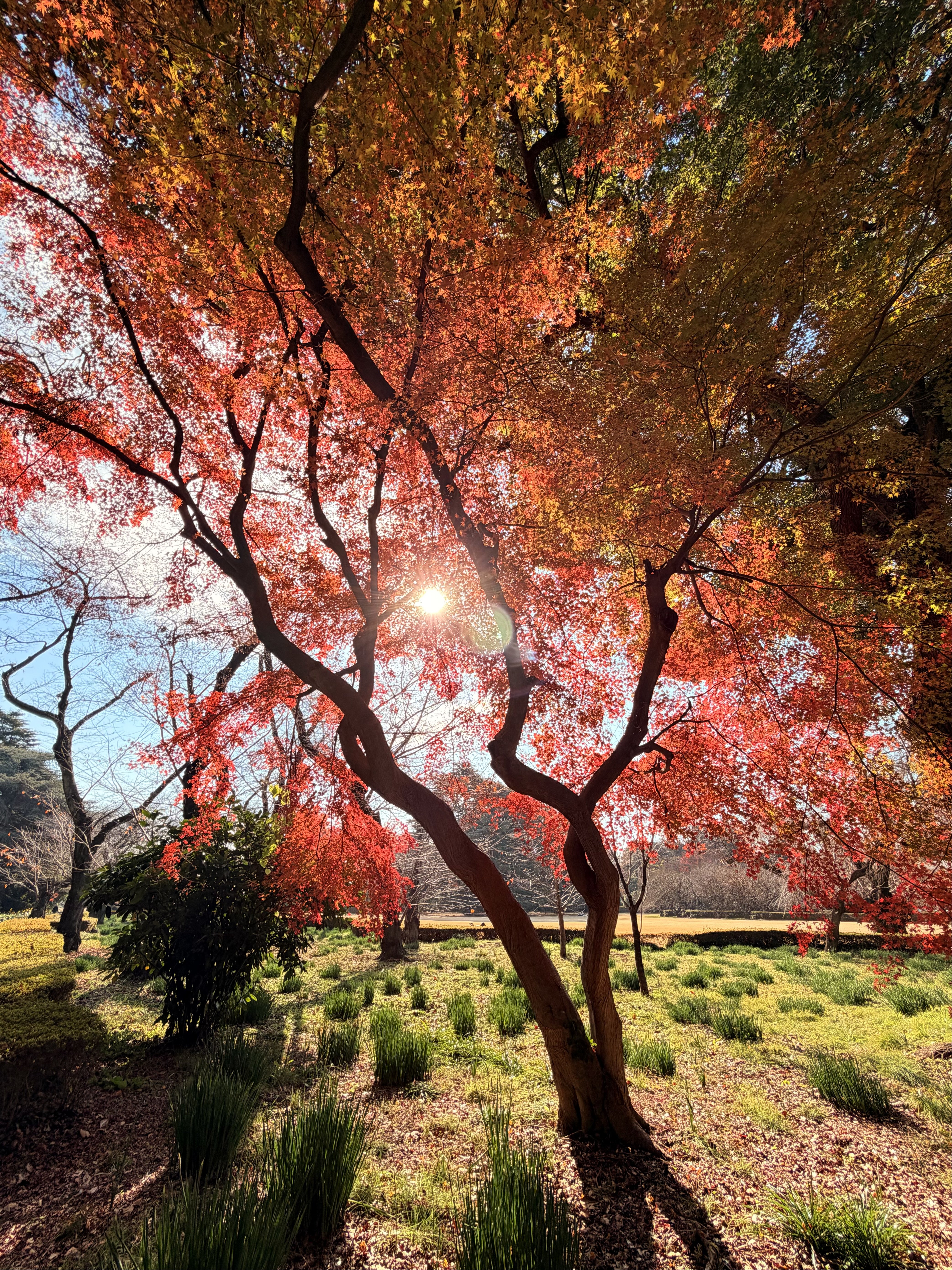 人像摄影 - 自然光人像