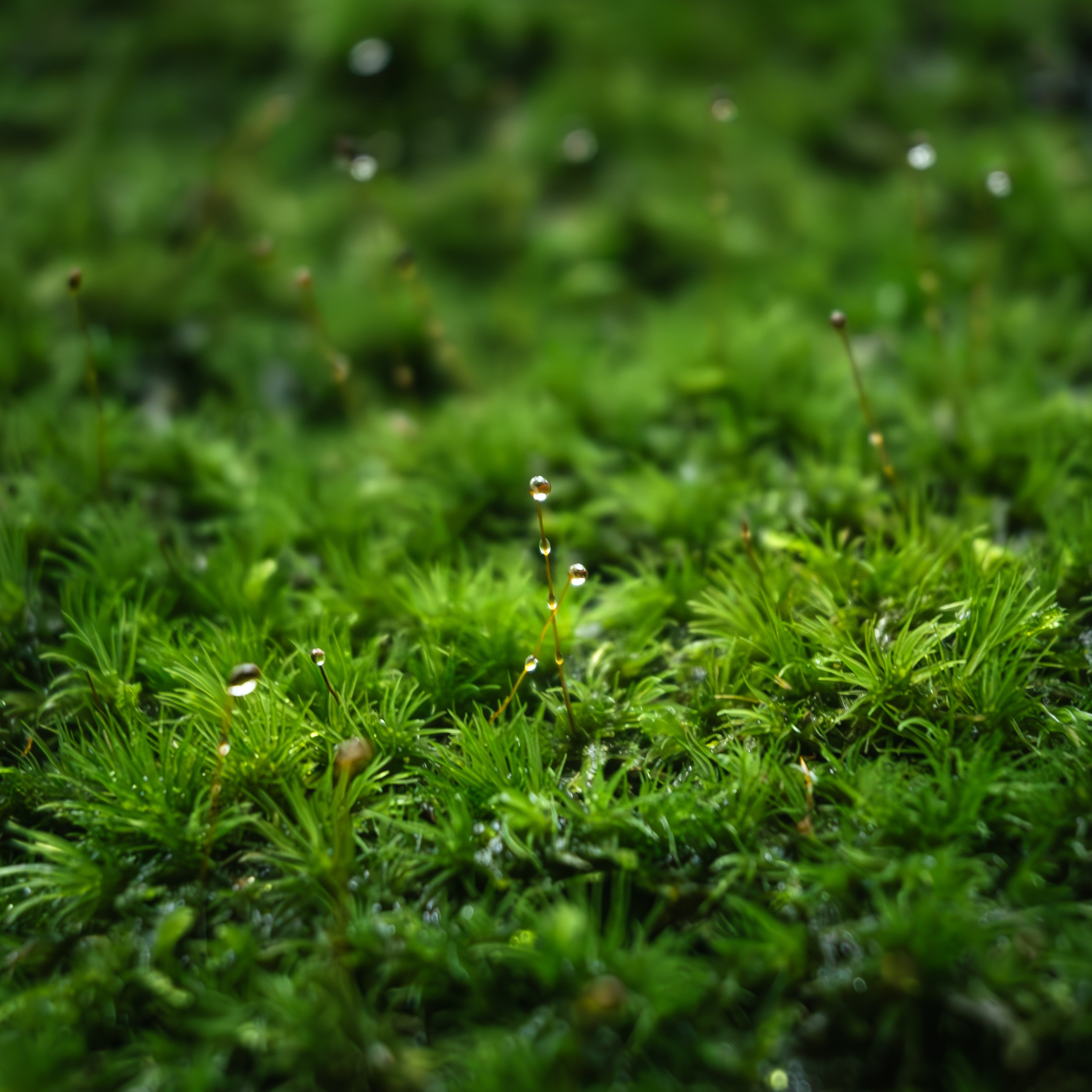 城市摄影 - 天际线