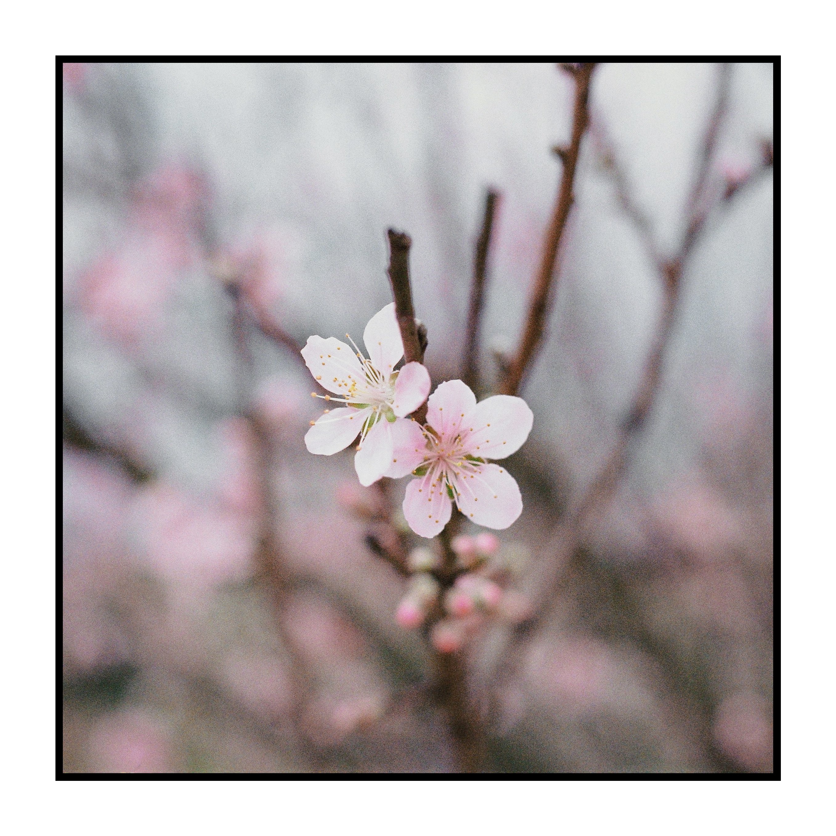 人像摄影 - 情绪人像